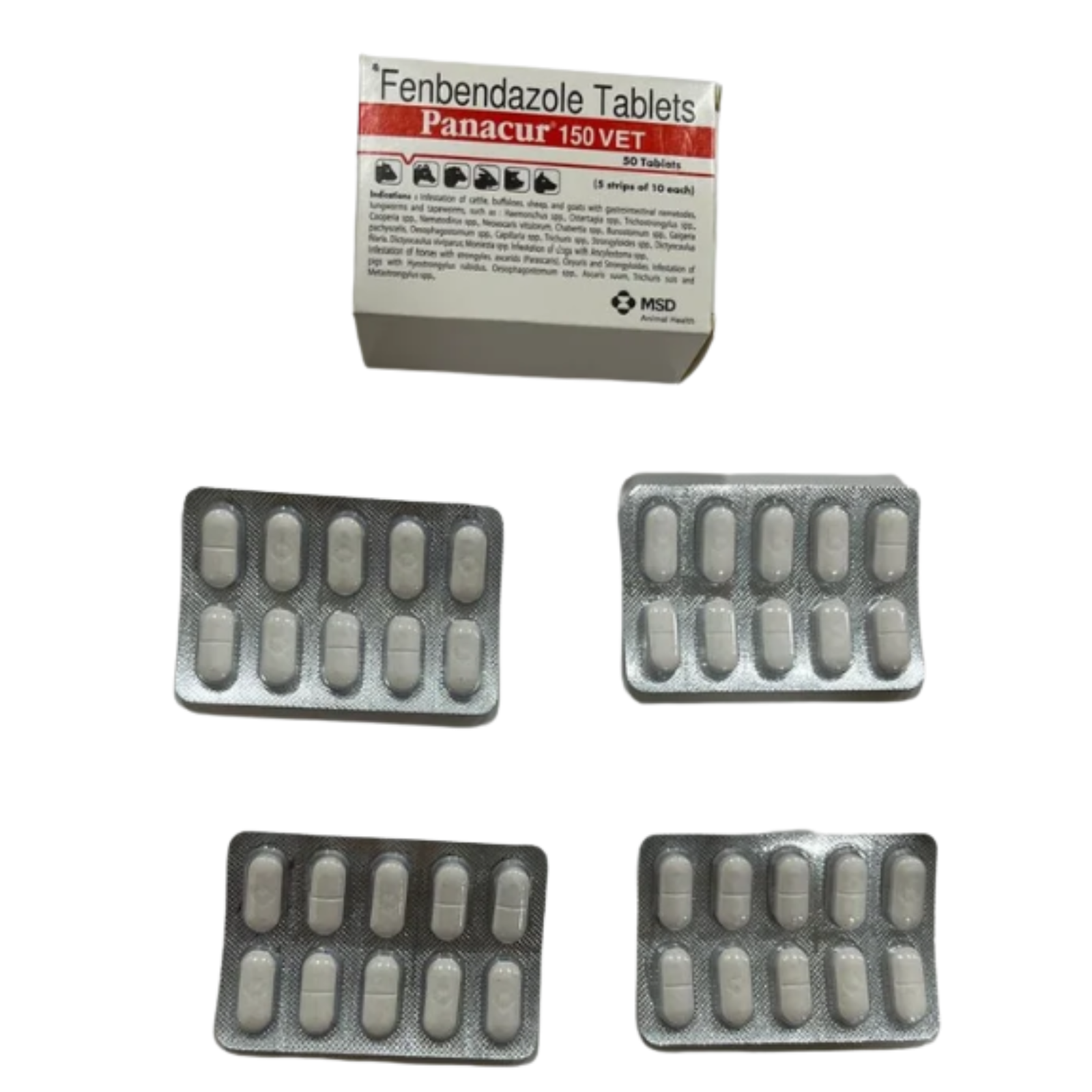 Fenbendazole Tablet panacur